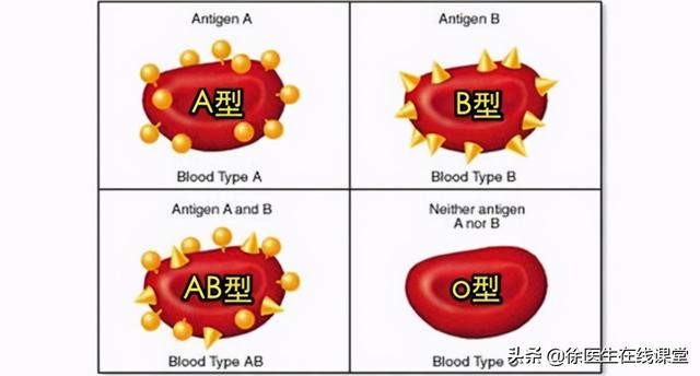 在家最简单分辨血型的 *** ，怎么判断自己的血型