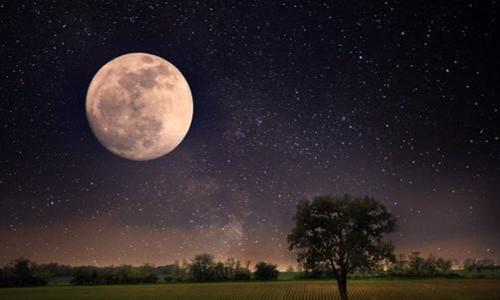 月亮为什么会是地球的卫星，月亮消失地球会怎样