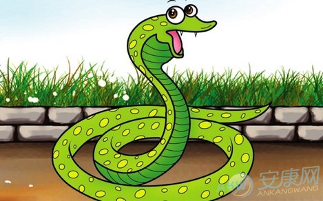 1、生肖蛇的婚配属相是什么:属蛇和什么属相最配