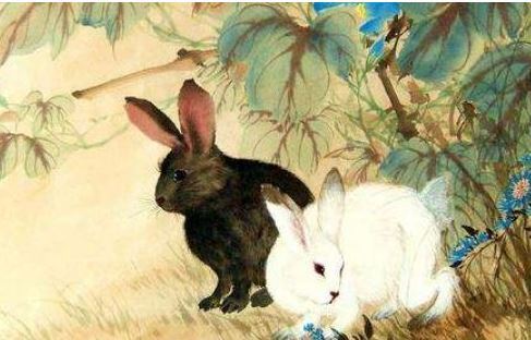 3、女属兔和什么生肖婚配好:女方属兔和什么生肖配