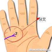 3、手掌的婚姻线是哪一条:婚姻线是手掌上哪一条线啊
