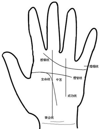 4、手掌的婚姻线是哪一条:请问哪只手哪条线是女人的婚姻线