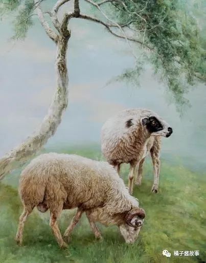 1、年属羊人41岁大难:属羊年四十以后命