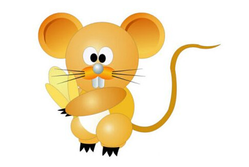 2、属鼠的与属鼠的婚配怎么样:属鼠的和什么属相最配 属鼠的属相婚配表