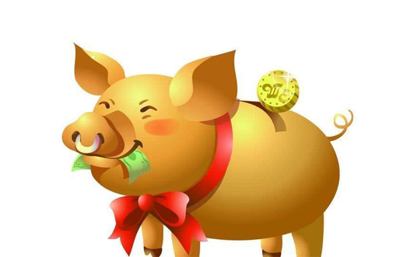 1、属猪的今年多大年运势:猪今年几岁