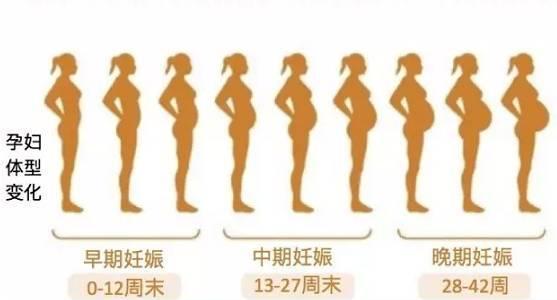 1、一年中几月份备孕到怀孕比较好:一年中几月怀孕，对孩子更好，哪4点值得备孕家长借鉴？