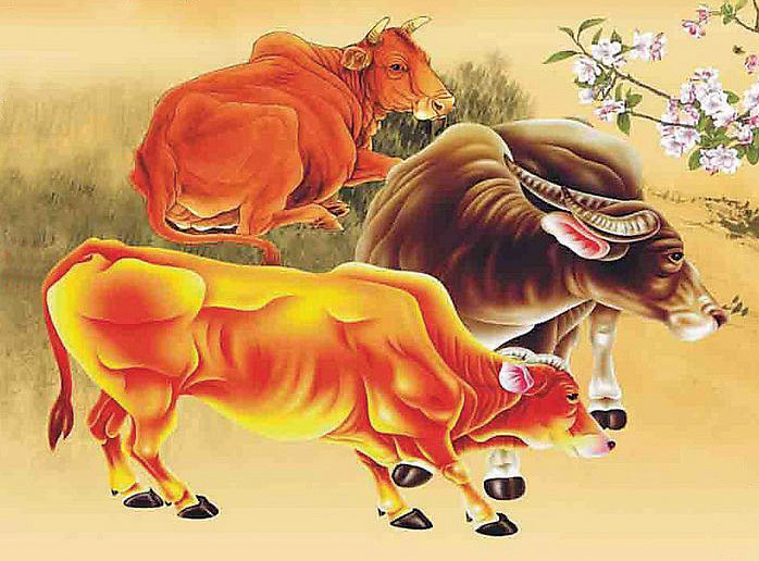 1、属牛今年运势:属牛今年的运势，年属牛的人婚姻