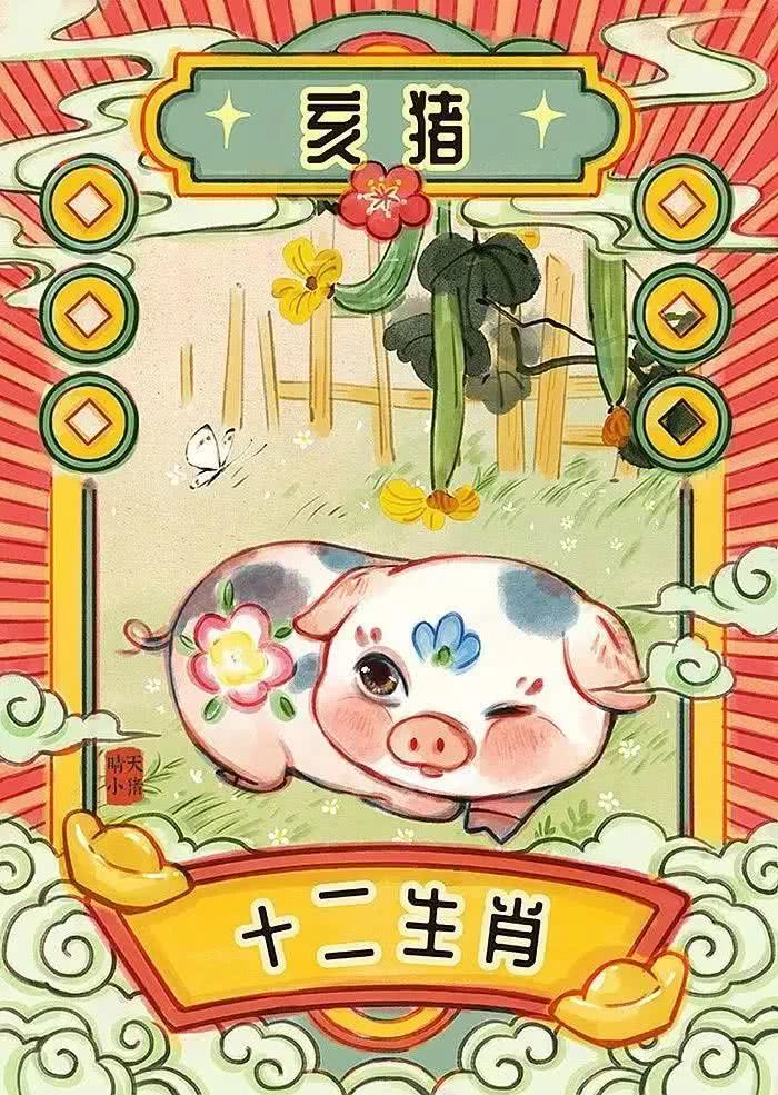 华人生肖猪运势，71年生肖猪50岁以后运势