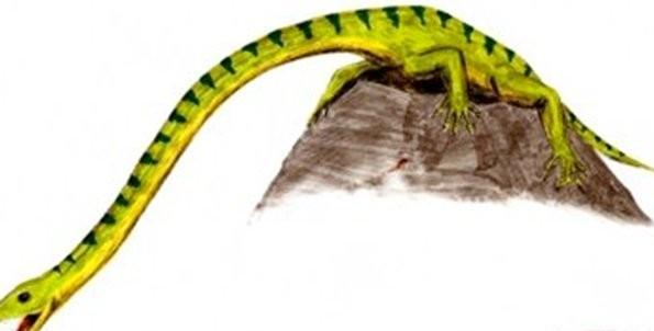 十大灭绝的可怕古生物，10000米长的蜈蚣