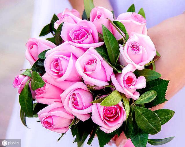 心理测试：你第一眼喜欢哪束花，测出你今生会经历几次婚姻