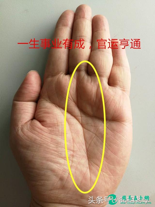 男人左手手相三条线图片