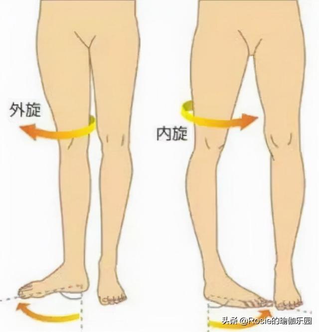膝关节内旋外旋动作图图片