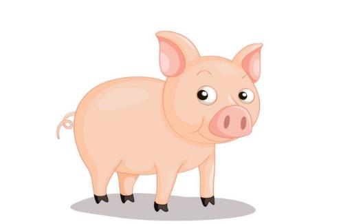 生肖猪2022年运势及运程