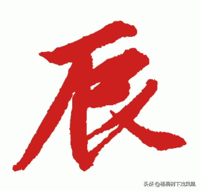 葵巳日八字属什么